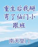 重生后我掰弯了仙门小跟班